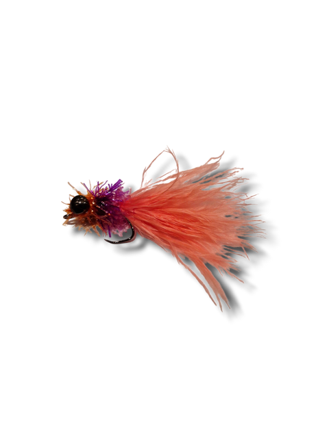 Kaktushoved "Fritz" 1,5g Appelsin