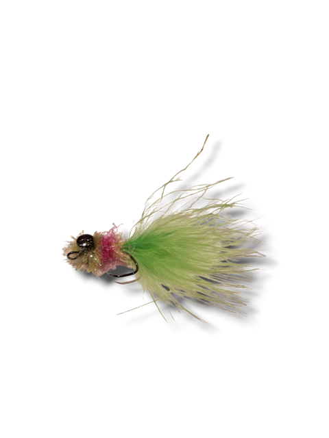 Kaktushoved "Fritz" 1,5g Grøn